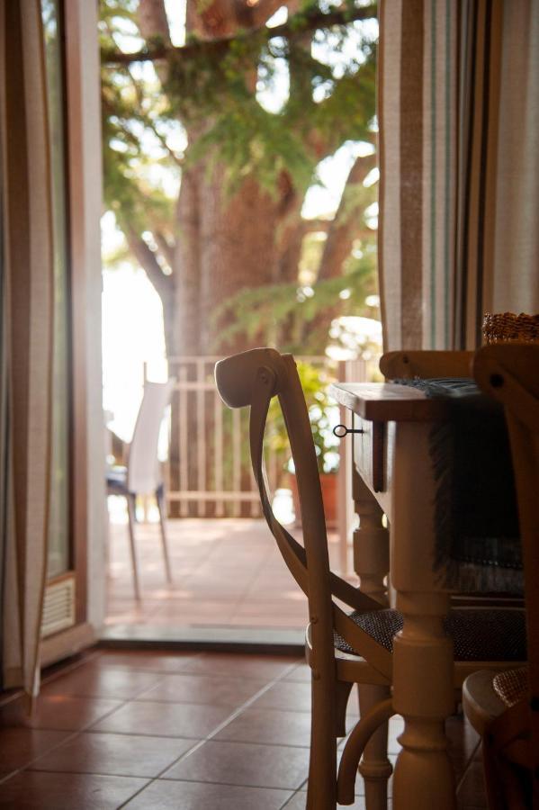 Loft Sul Mare Apartment *
