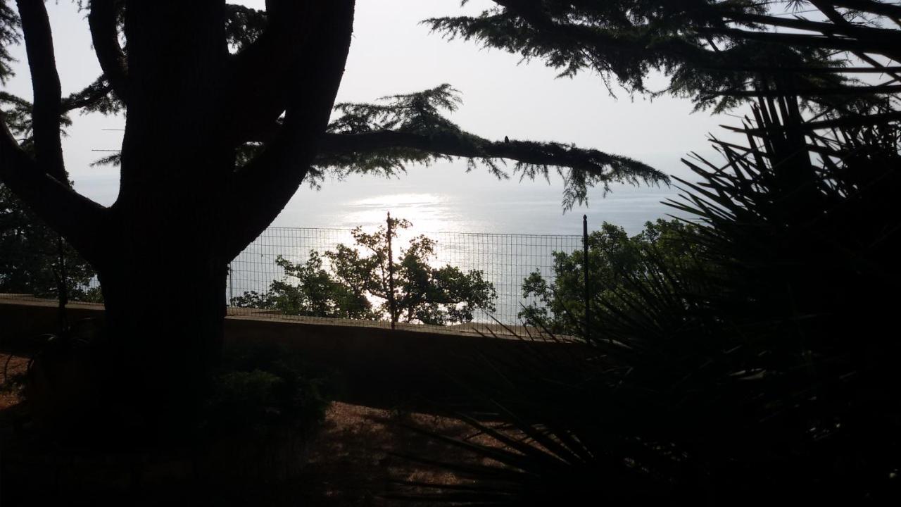 Loft Sul Mare Apartment *